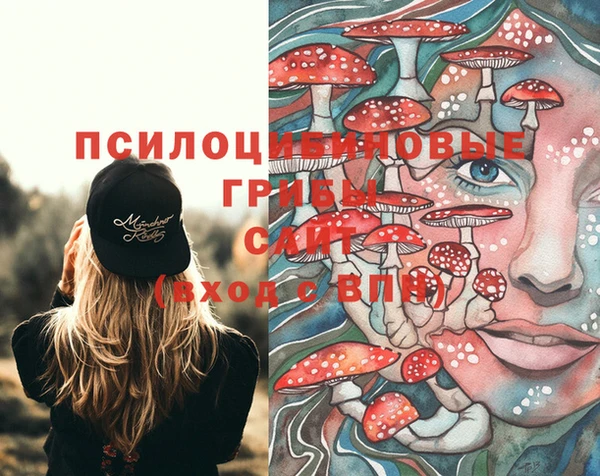 дурь Пересвет