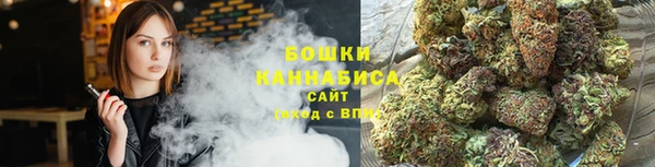 дурь Пересвет
