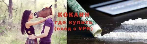 молекула духа Переславль-Залесский