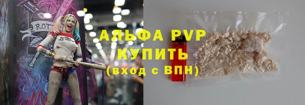 молекула духа Переславль-Залесский