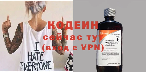 молекула духа Переславль-Залесский