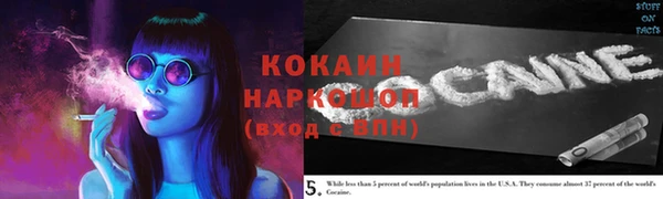 дурь Пересвет