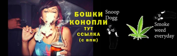 молекула духа Переславль-Залесский