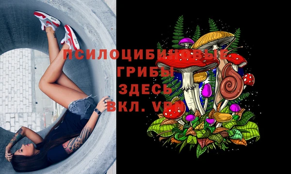 молекула духа Переславль-Залесский