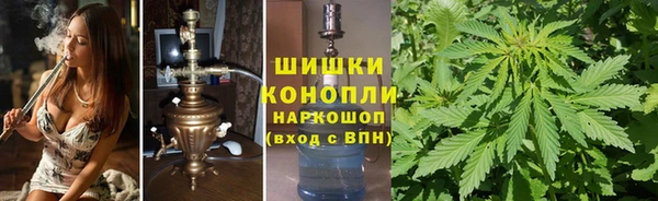 молекула духа Переславль-Залесский