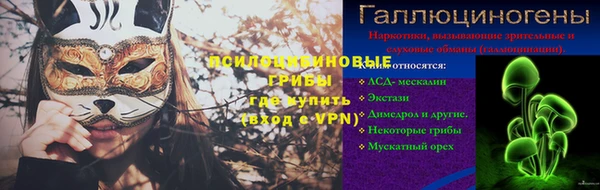 дурь Пересвет