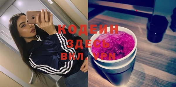 молекула духа Переславль-Залесский
