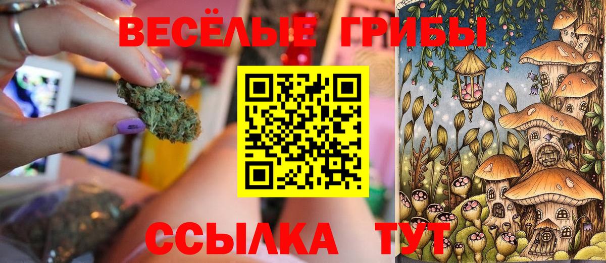 Бутират Альметьевск
