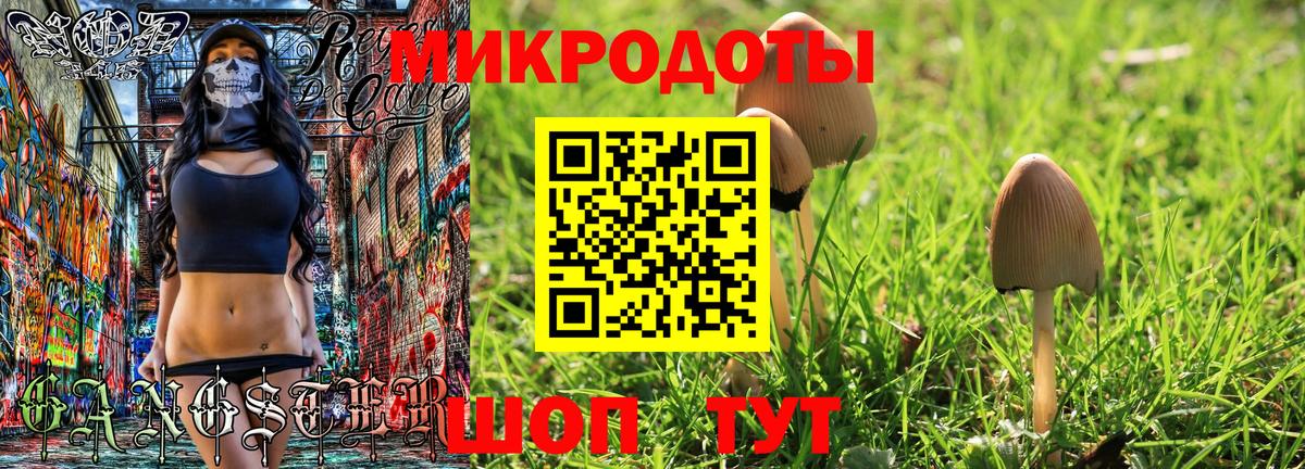 Галлюциногенные грибы Psilocybe  Вход с VPN  Альметьевск 